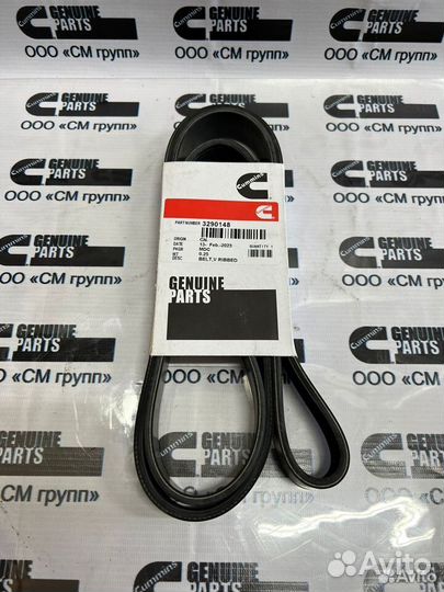 Ремень 8PK1880 Cummins M11 ISM11 QSM11