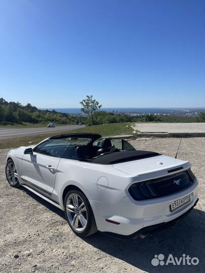 Аренда Mustang на фотосессию или свадьбу