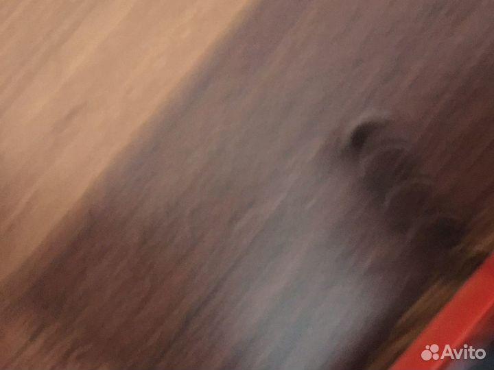 Беговые лыжи