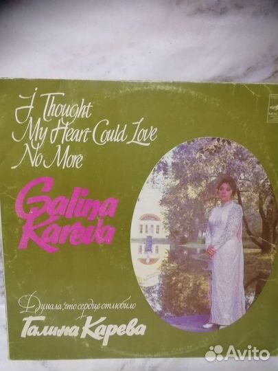 Виниловые пластинки