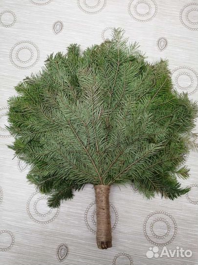 Пихтовый веник для бани