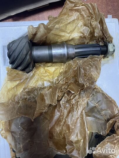 Главная пара газель