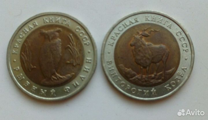 Молодая Россия, Красная Книга, Барселона