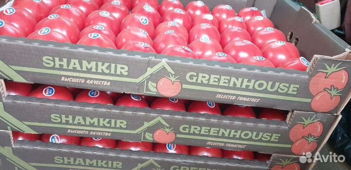 Помидор Азербайджан цена за 7.5кг ящик высший сорт