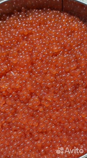 Красная икра купить