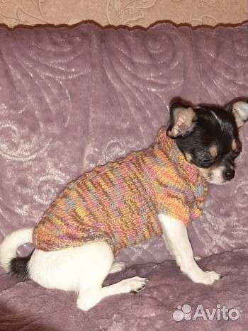 Товары для домашних животных