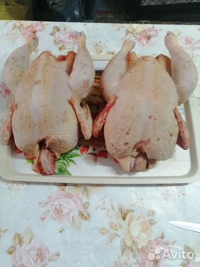 Мясо домашней птицы