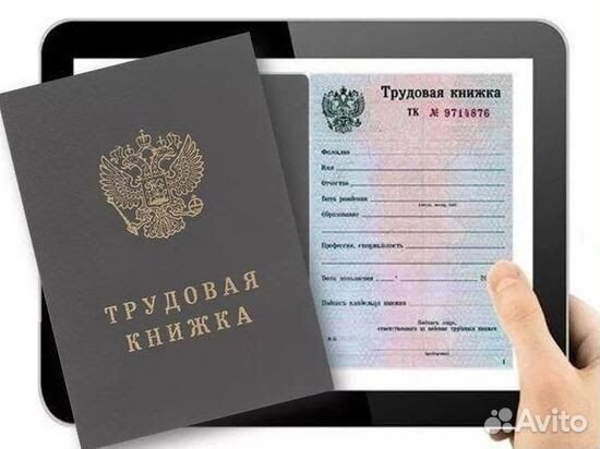 Трудовая книжка ТК6