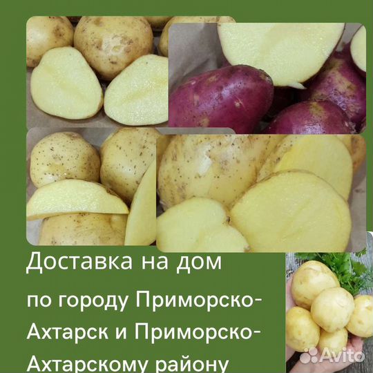 Картофель станицы Степной