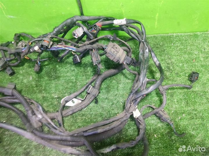 Жгут проводки двигателя volkswagen Golf Plus 2008