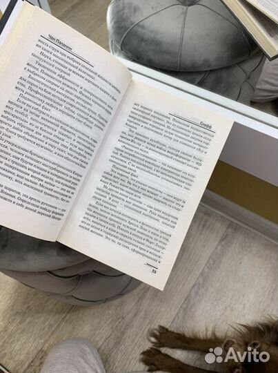 Чак Паланик «Снафф»