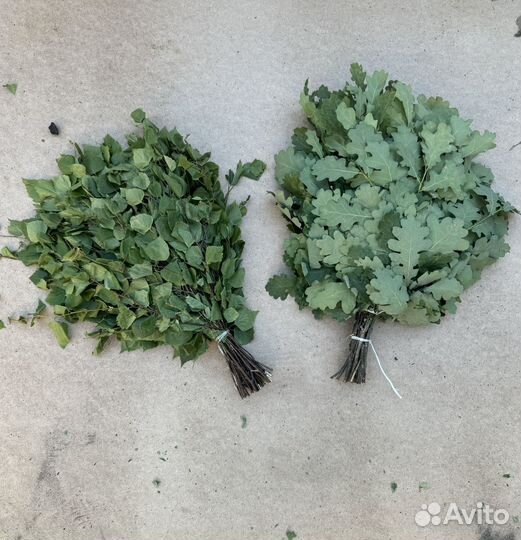 Веники для бани березовые и дубовые