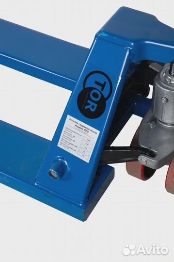 Рохля длинная