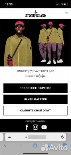 Stone island свитшот