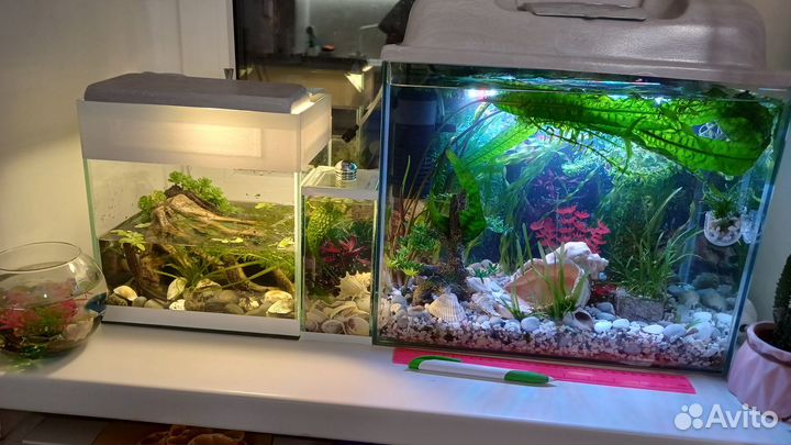 Аквариум