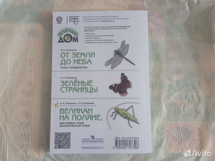 Книга великан на поляне