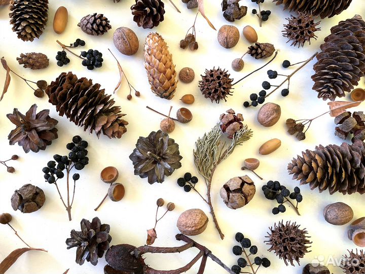 Природные материалы арт терапия