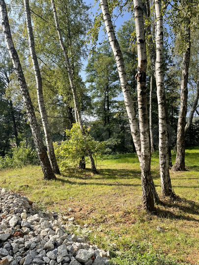 Участок 7,8 сот. (ИЖС)