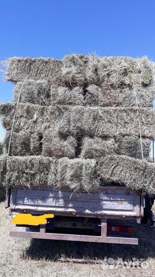 Сено в тюках