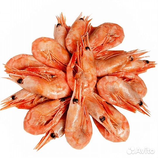 Креветка северная 90/120