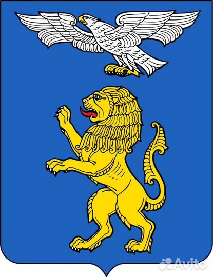 Ведущий экономист
