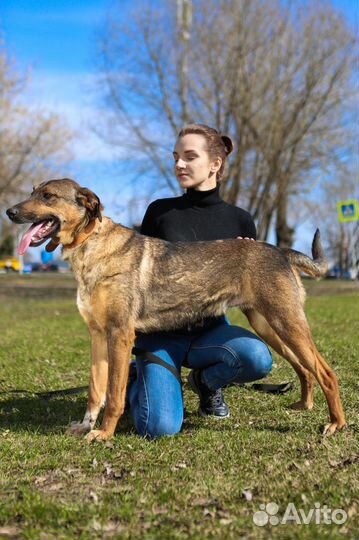 Август- милый, нежный мальчик, пусть тебе повезет