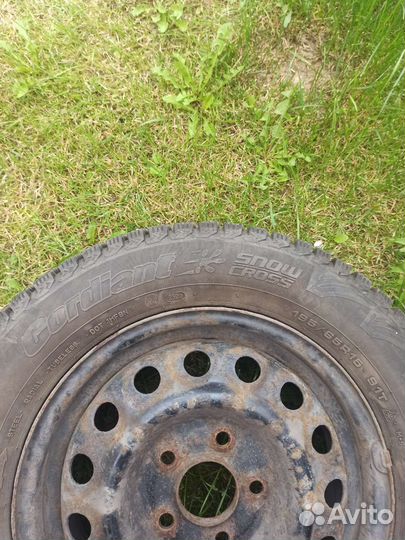 Cordiant Snow Cross 195/65 R15 91