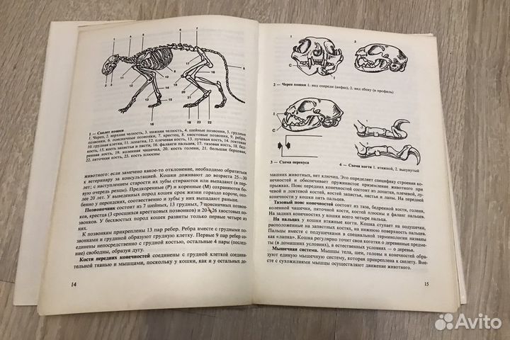 Книга « Атлас пород кошек»