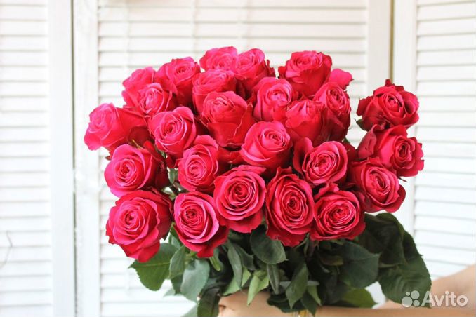 Роза Эквадор Оптом и в розницу