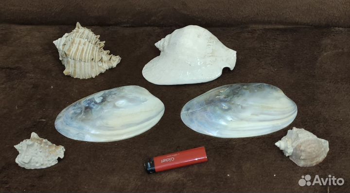 Декорации и грунт для аквариума