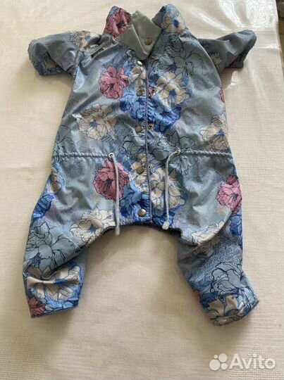 Одежда для собак, для девочки Ботинки