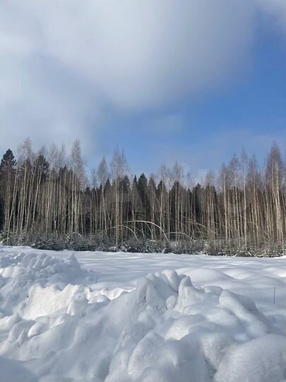 Участок 10 сот. (СНТ, ДНП)