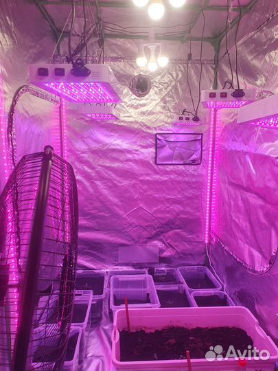 Готовый гроубокс