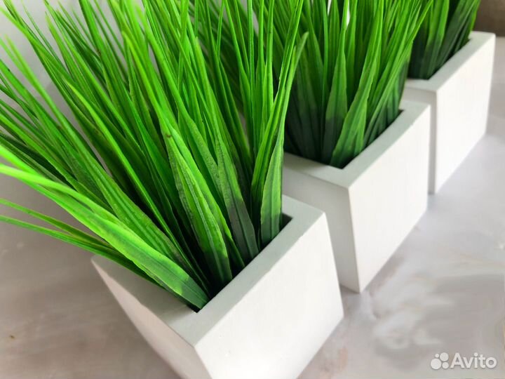 Кашпо с осокой