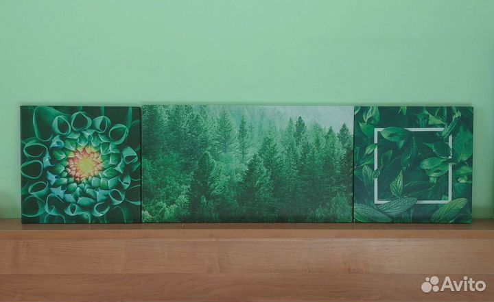 Набор из 6 картин