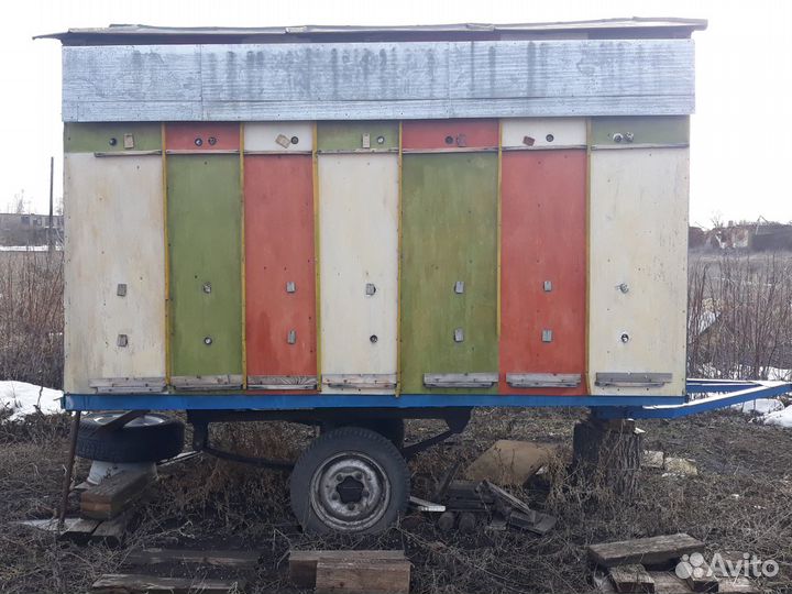 Пчелопавильон