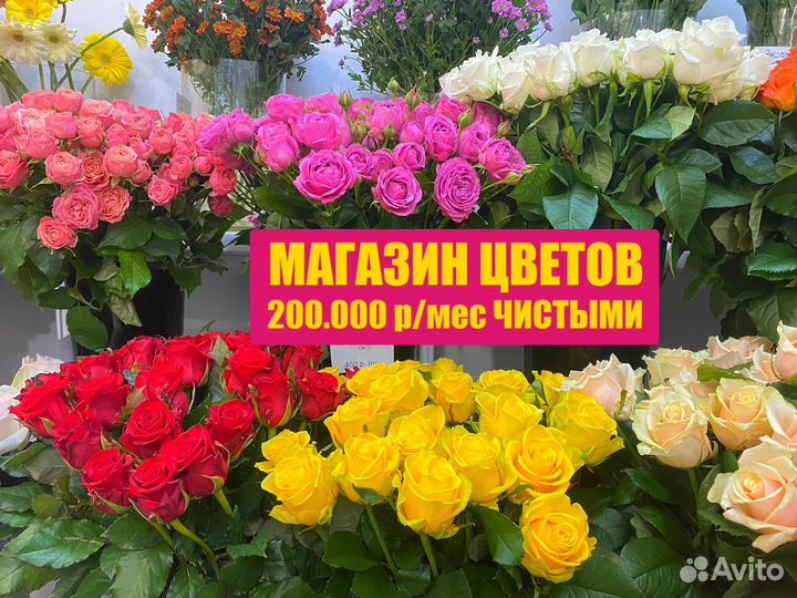 Цветочный магазин готовый бизнес