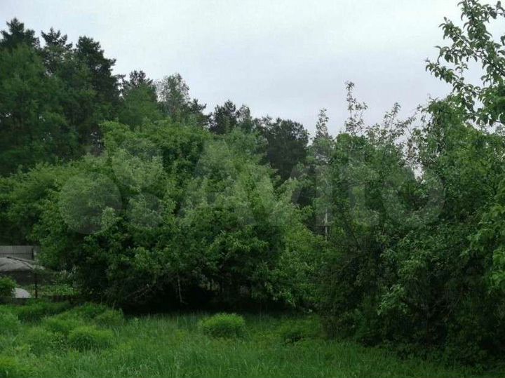 Участок 6 сот. (СНТ, ДНП)