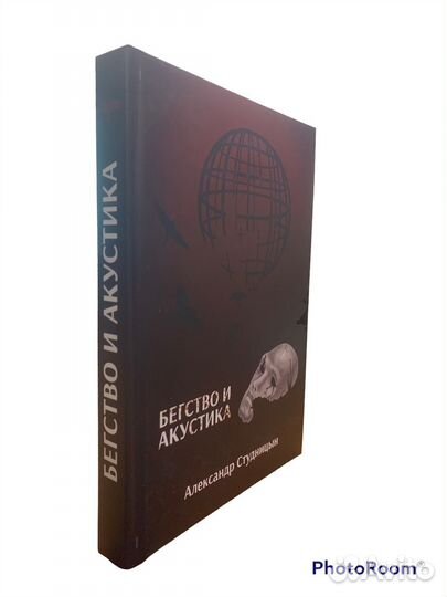 А Студницын «Бегство и акустика»