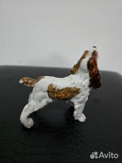 Limbach германия собака Фарфор