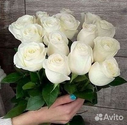 Высокие розы 150 160 170 180 190см доставка Москва