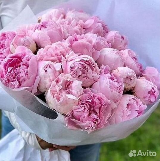 Пионы Букет