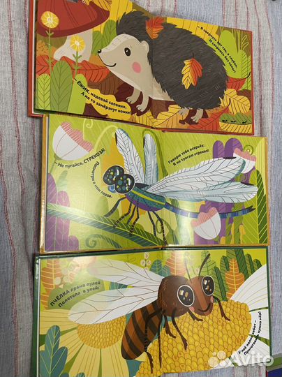 Книжки для малышей 1+