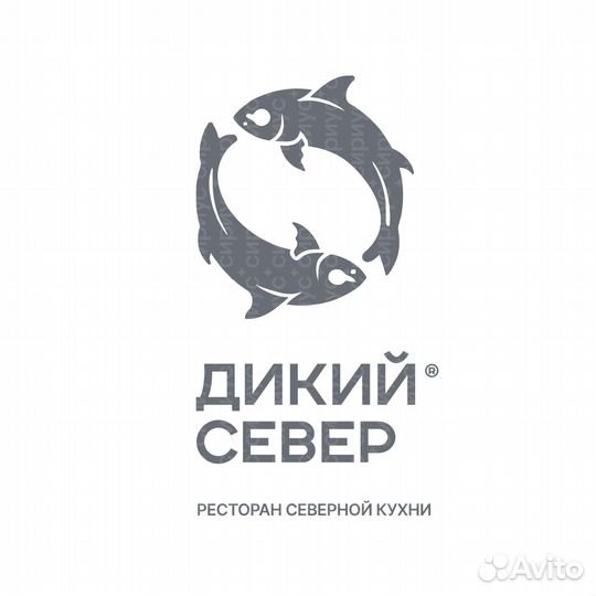 Создание логотипа, крутой логотип для компании