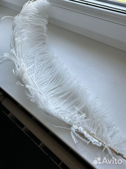 Страусинные перья