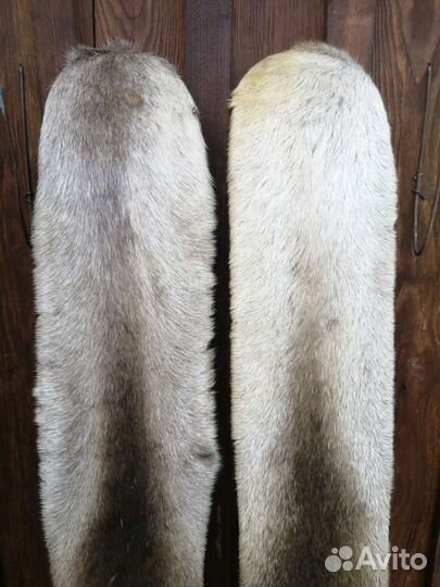 Лыжи охотничьи с камусом