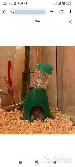 Переноска и поилка для грызунов