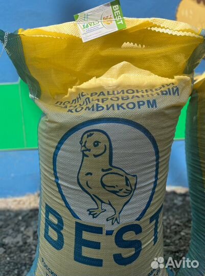 Гранулированный комбикорм для бройлеров «Старт»