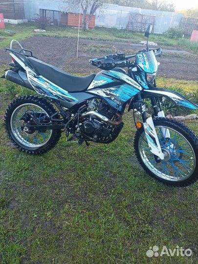 Racer pantera 300