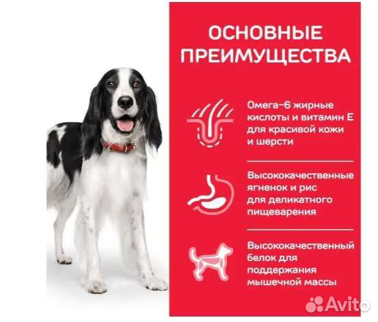 Корм для собак Hills